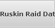 Ruskin Raid Data Recovery Services
